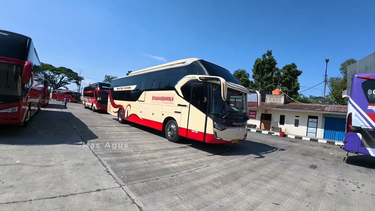 Terminal Bubulak Mulai Ramai Pemudik‼️Line Perdana Suites Combi Bus Handoyo Ex Tividi⁉️