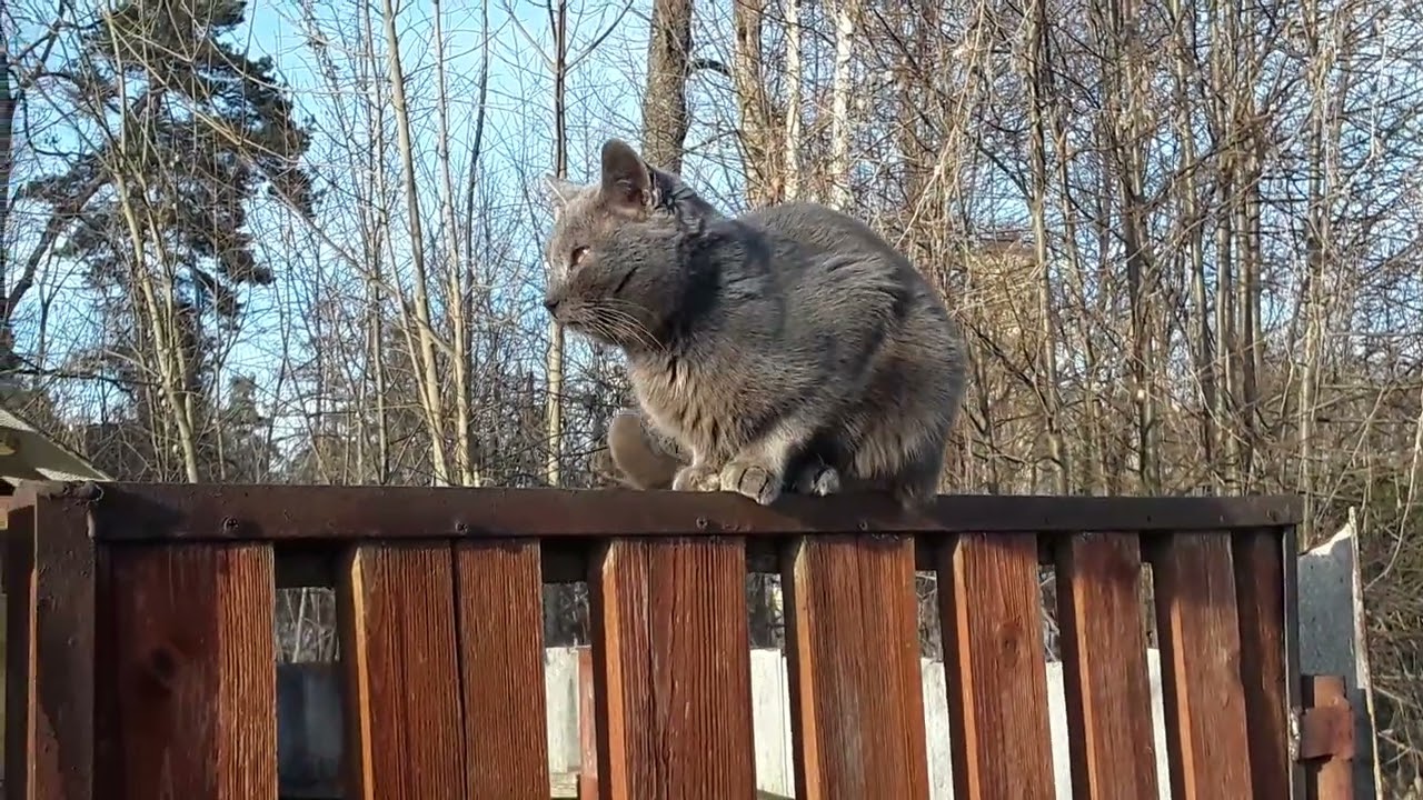 8 марта 2026 г.