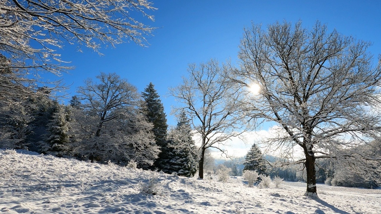 Cozy Winter Cabin Ambience - Soft Piano Music for Focus, Studying and Stress Relief #relaxingmusic
