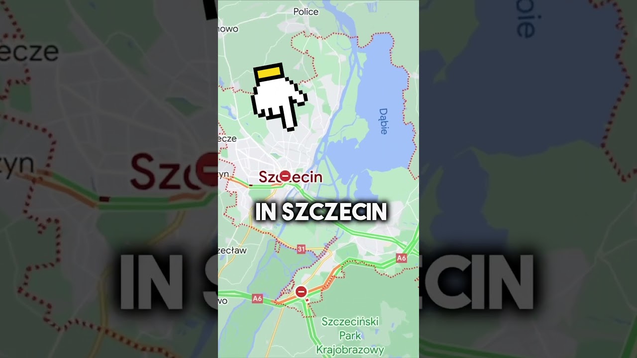 The MOST Famous Cat In Poland 😲 #travel #poland #cats