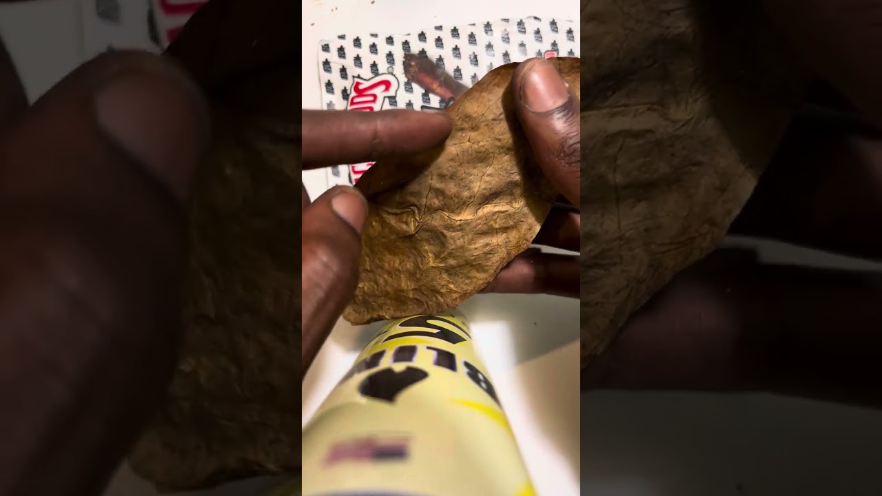 HOW TO PROPERLY ROLL A BACKWOOD: Tutorial By Kush