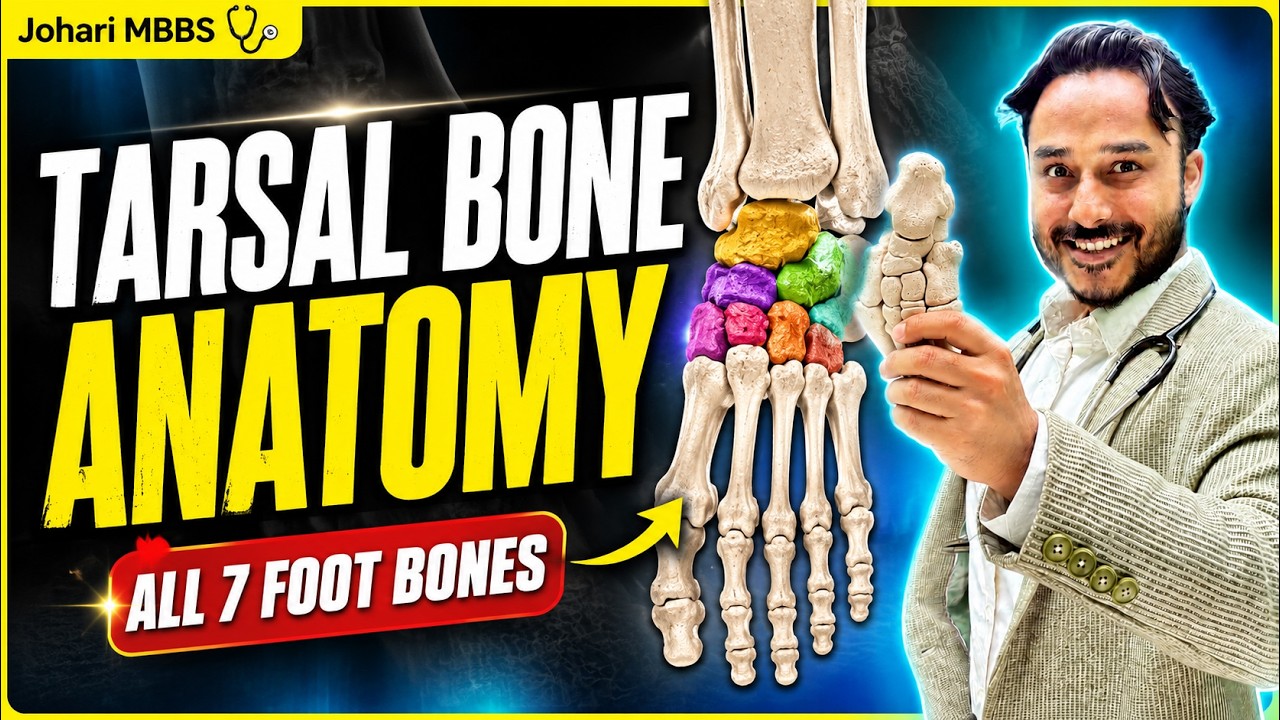 Tarsal Bone Anatomy Explained  | All 7 Foot Bones, Functions, Mnemonics & Clinical Anatomy