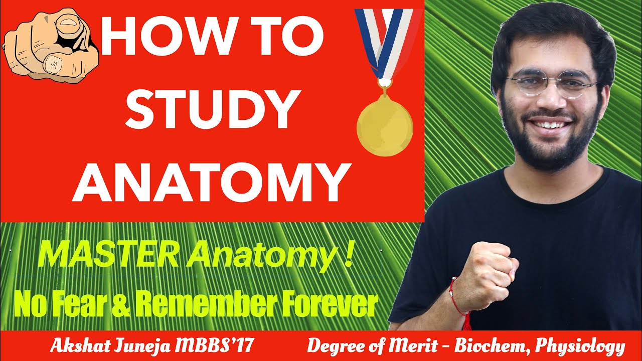 How to Study Anatomy Effectively In MBBS 1st Year | Medical School