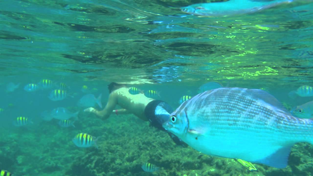 Cruise 2011