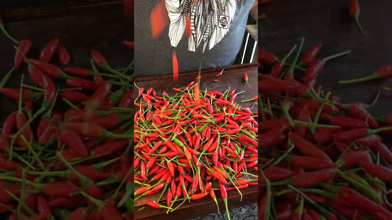 Como fazer um molho de pimenta extra forte?