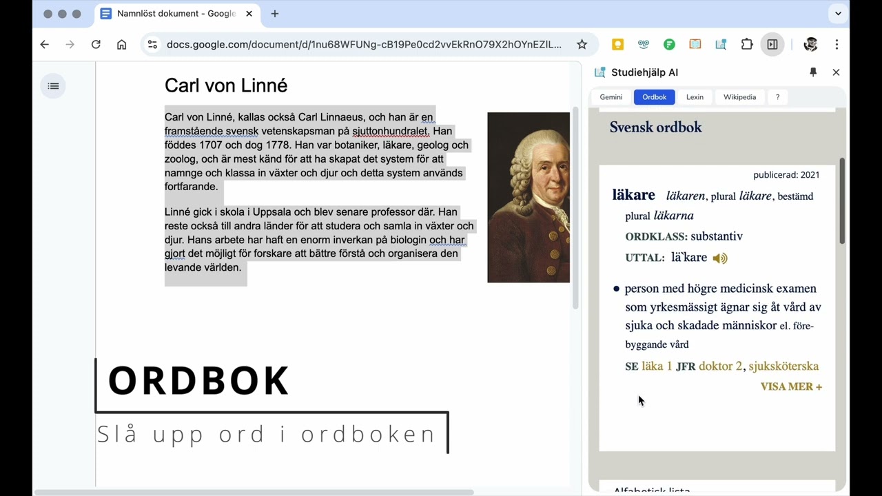 Studiehj&auml;lp AI