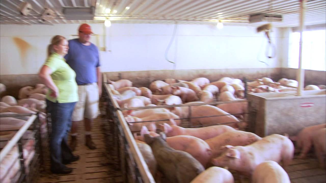 Featured Indiana Farm: Hill Farms