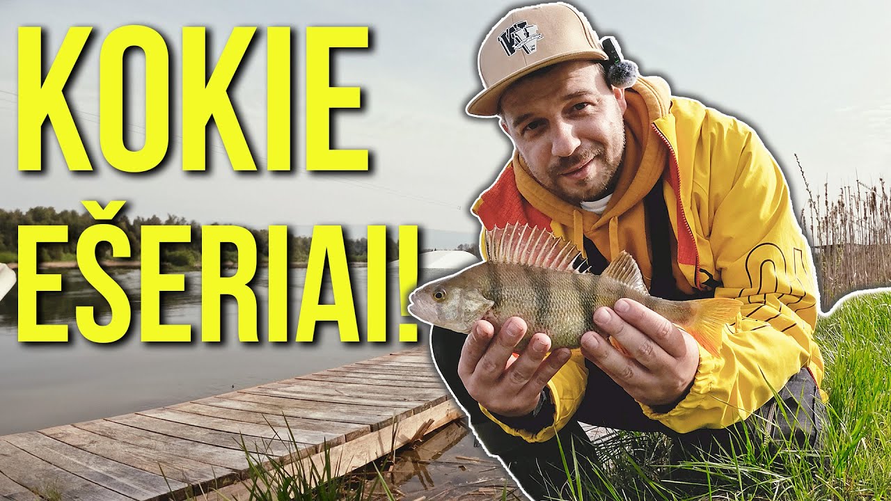 Oho kokie paršiukai ešeriukai... Senais laikais jie buvo čia labai mažiukai....