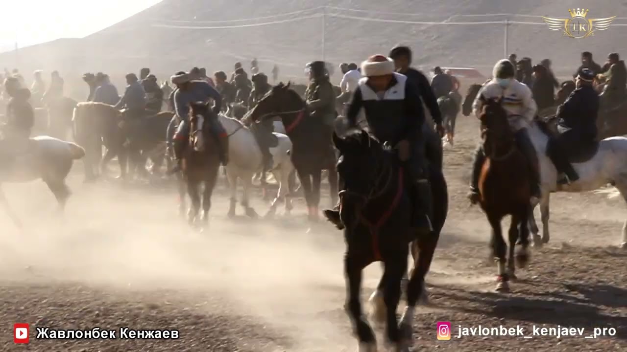 Бо аспи нави Парламенти Хочи Кахрамон Тойба марра кард 4 марра Халим полвон Курсой 7.01.2023