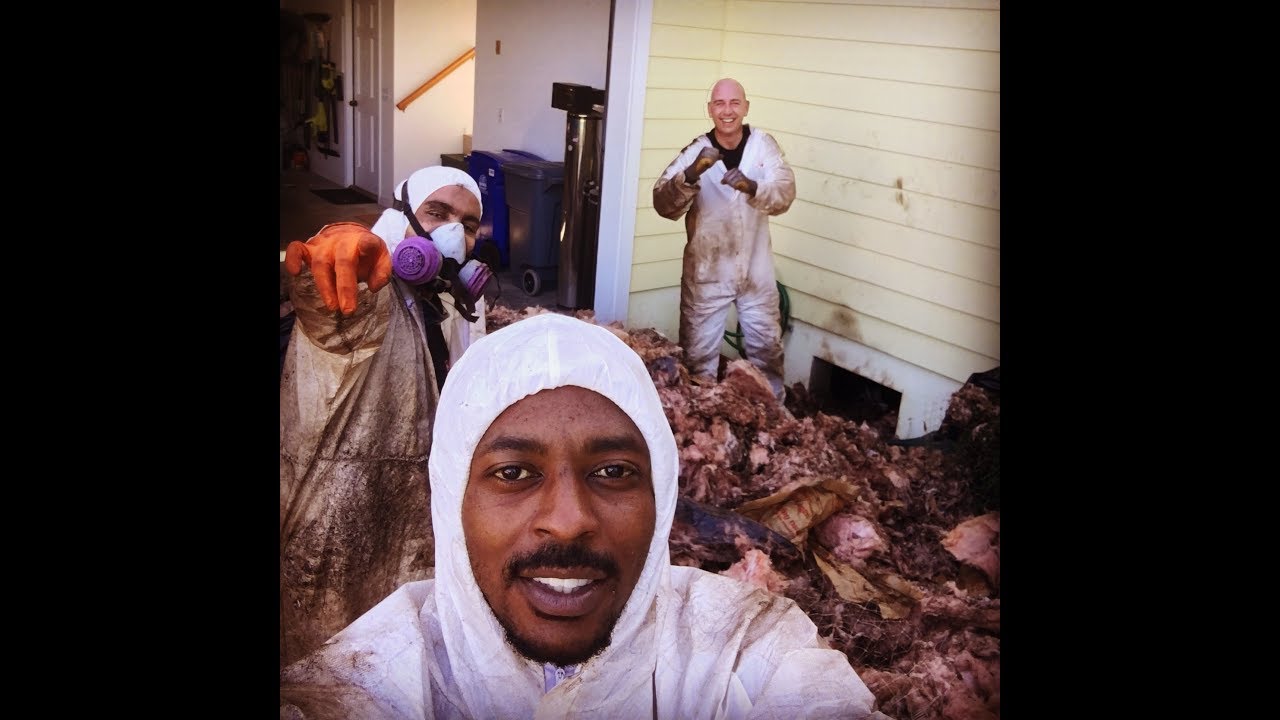 A day in the life - SERVPRO.
