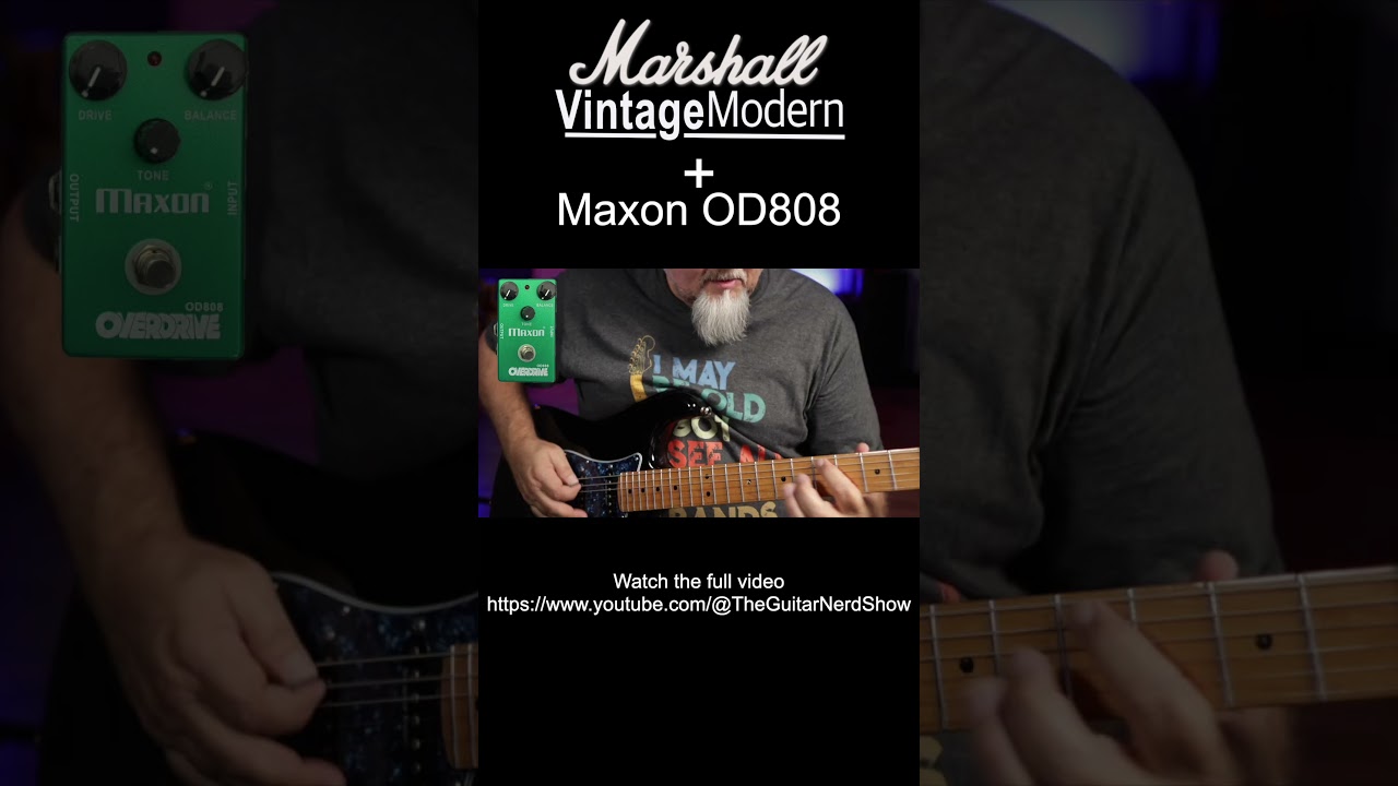 Marshall Vintage Modern & Maxon OD808