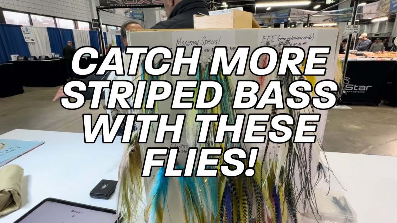 Catch BIG Striped Bass With These Flies!