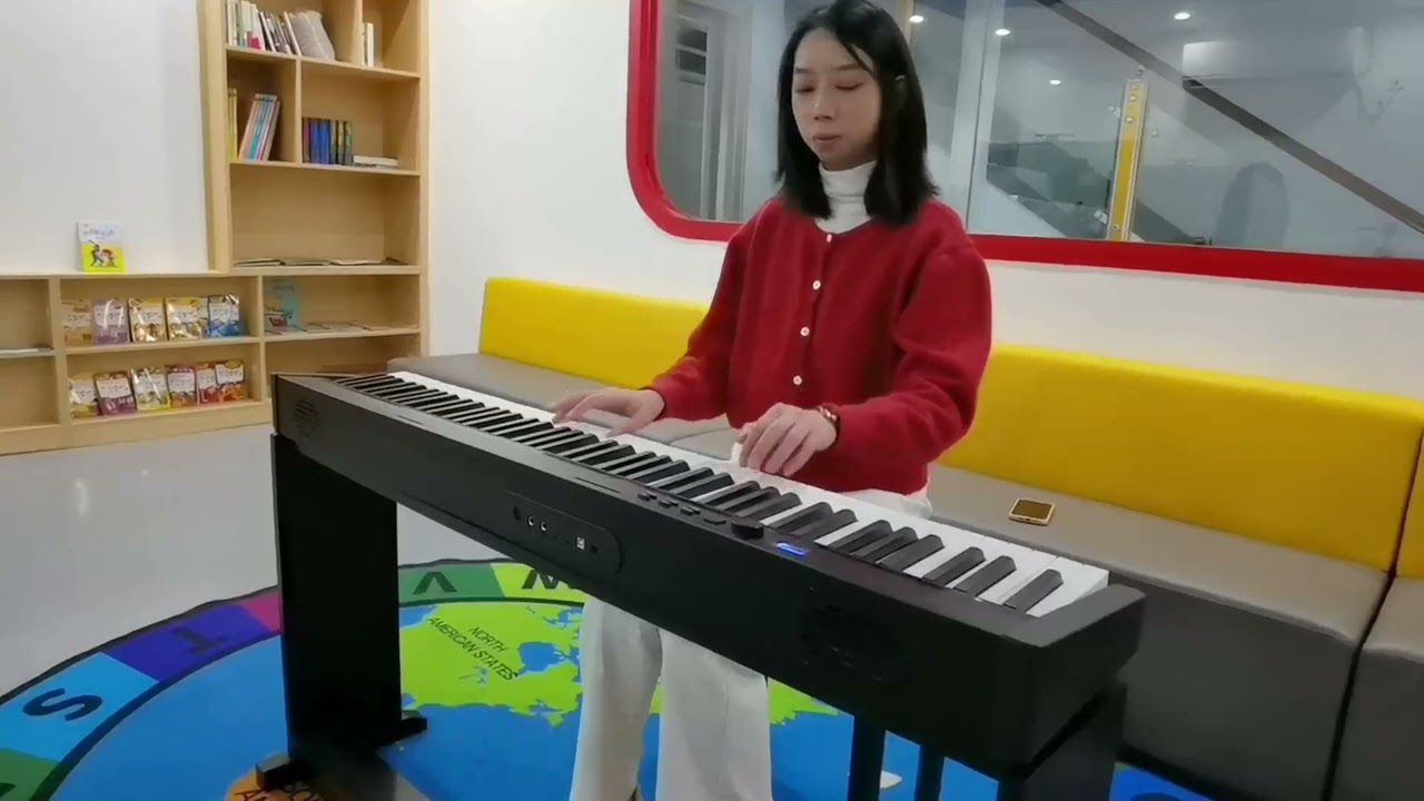 PH88Q Electric Piano 88 Digital keyboard musical weighted hammer Action key function