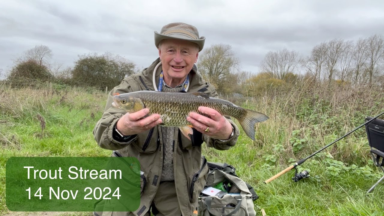 #141 Trout Stream - Thursday 14 Nov 2024