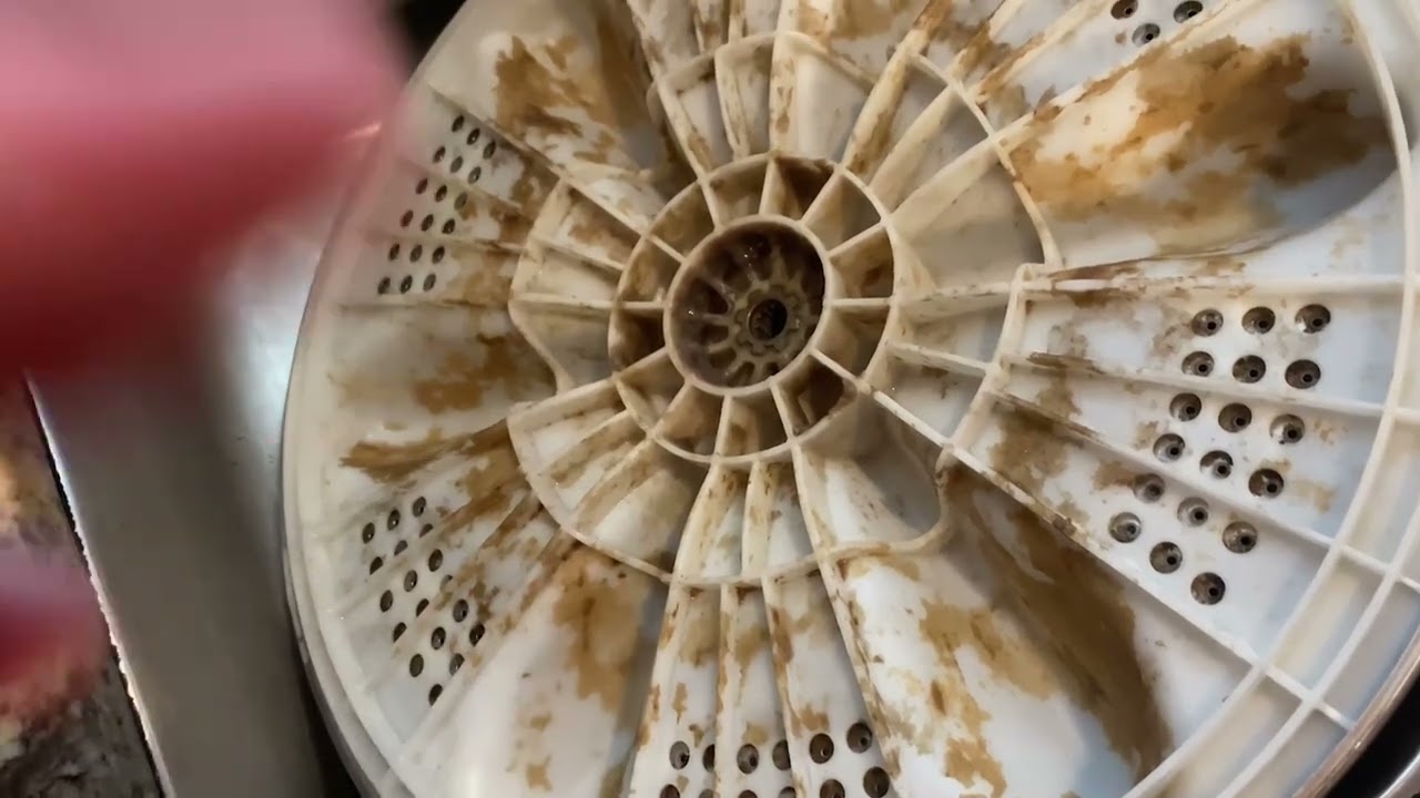 Как очистить активатор стиральной машины Samsung (удаление плесени, грибка и грязи) Модель: WA48H...