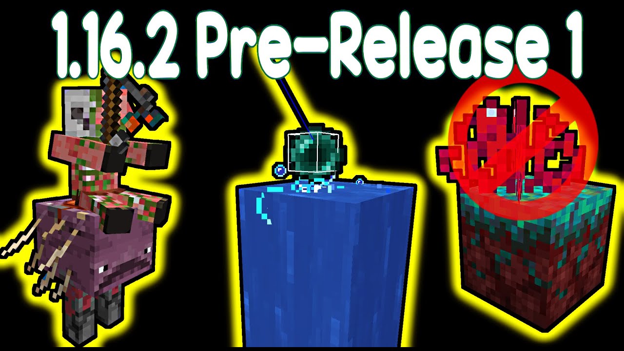 Minecraft 1.16.2 Pre-Release 1 Review | NEW Pearl Stasis, Rare Mobs, Root Nerf!