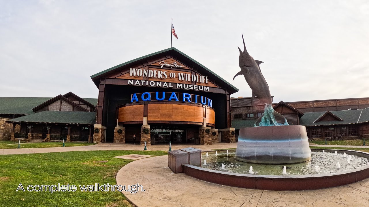 Wonders of Wildlife Aquarium Walkthrough | Springfield, Missouri