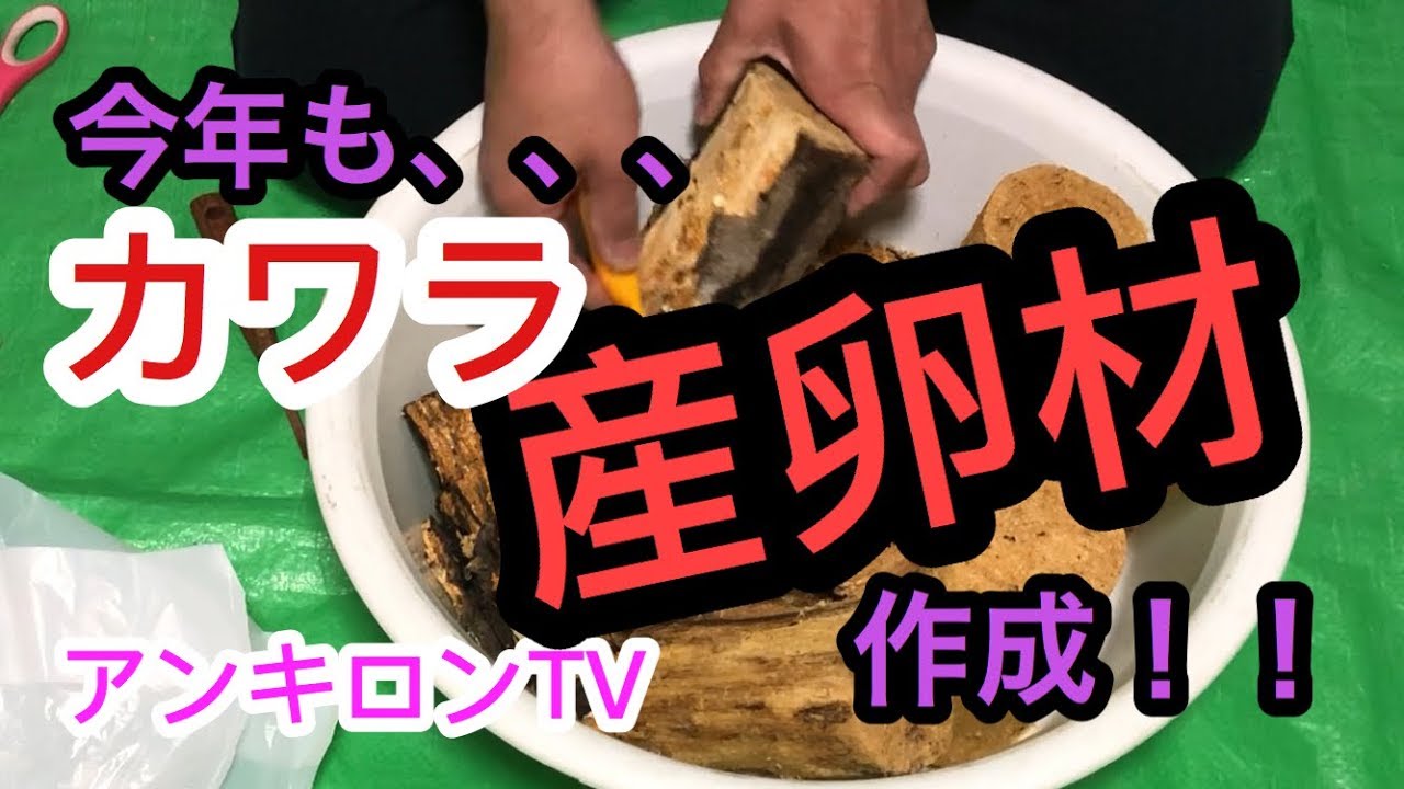 カワラ産卵材作成 2019年版