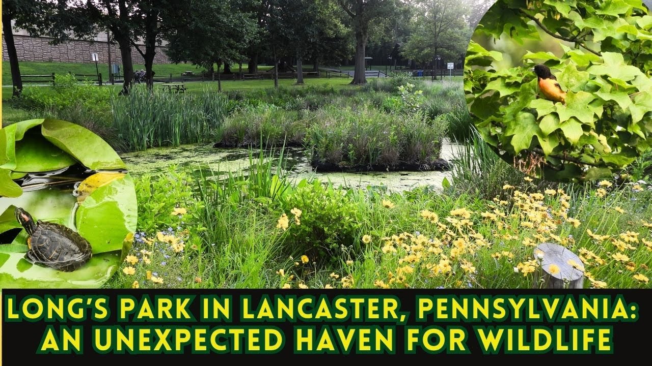 Lancaster's Best Kept Secret | A Wild Urban Oasis