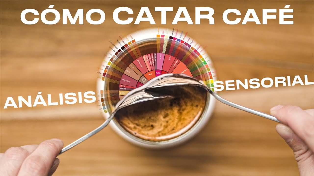 ANÁLISIS SENSORIAL DEL CAFÉ // CATA // CUPPING 🥄☕