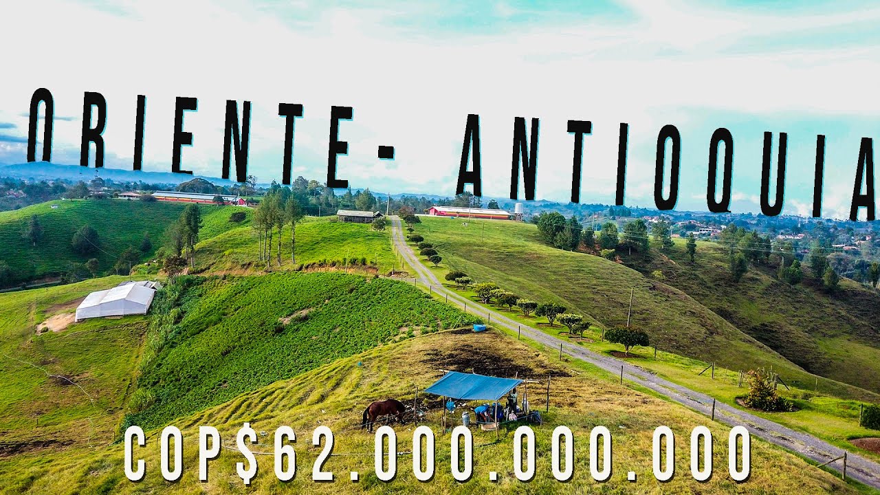 VENDO GRAN EXTENSIÓN TIERRA ORIENTE ANTIOQUIA $62.000´MIL MILLONES  108 HECTÁREAS #FINCA #MARINILLA