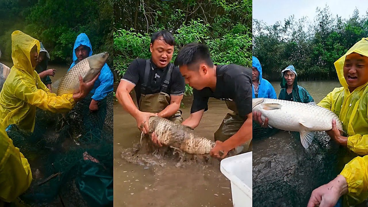 Chi 9999 bao ao cá, kéo 2 mẻ sốc vì cá khổng lồ