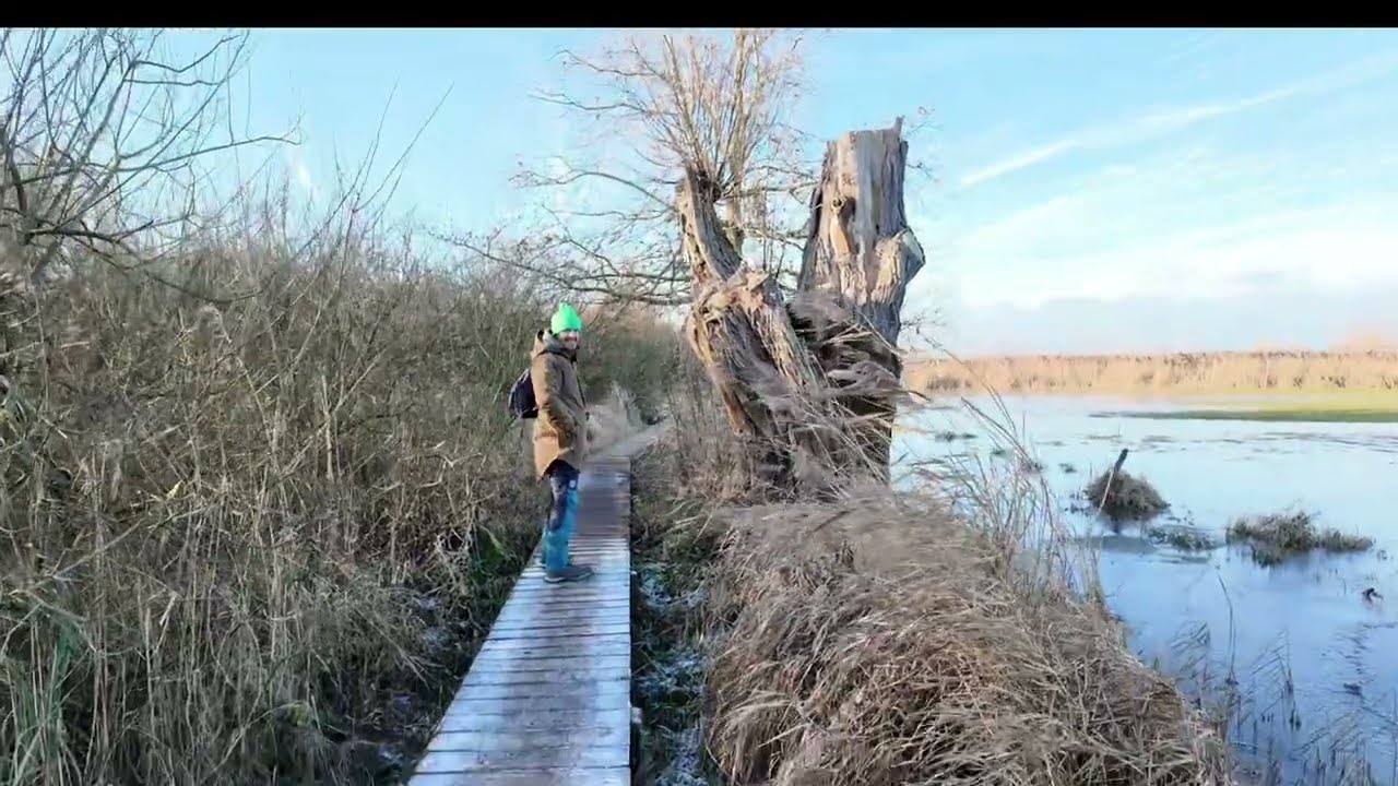 Balade à Ypres et au Blankaart 🌿 Entre ville et nature // Escapade dans les Flandres