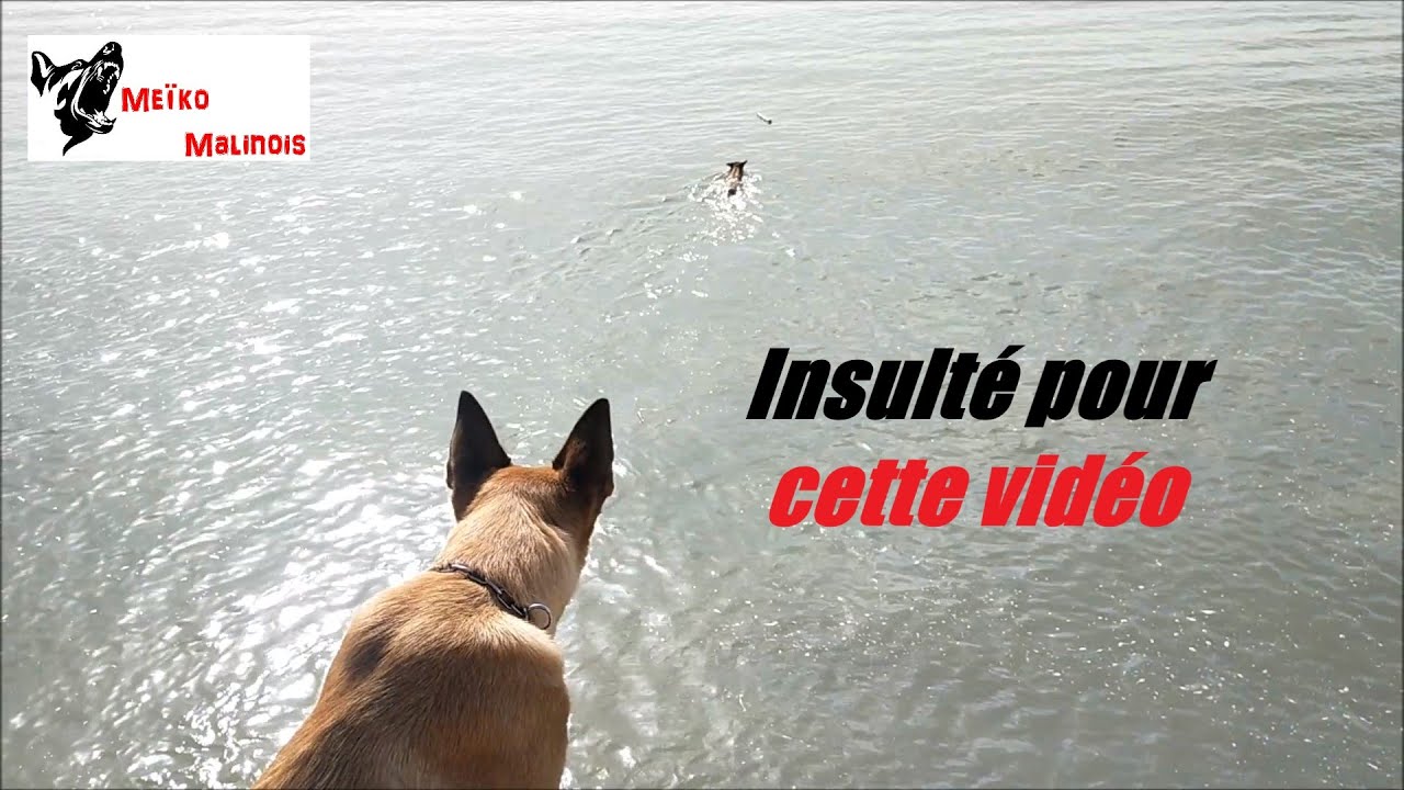 La vidéo Choc de Prada et Shadow : Plus d'1 million de vues sur Facebook ...!!!