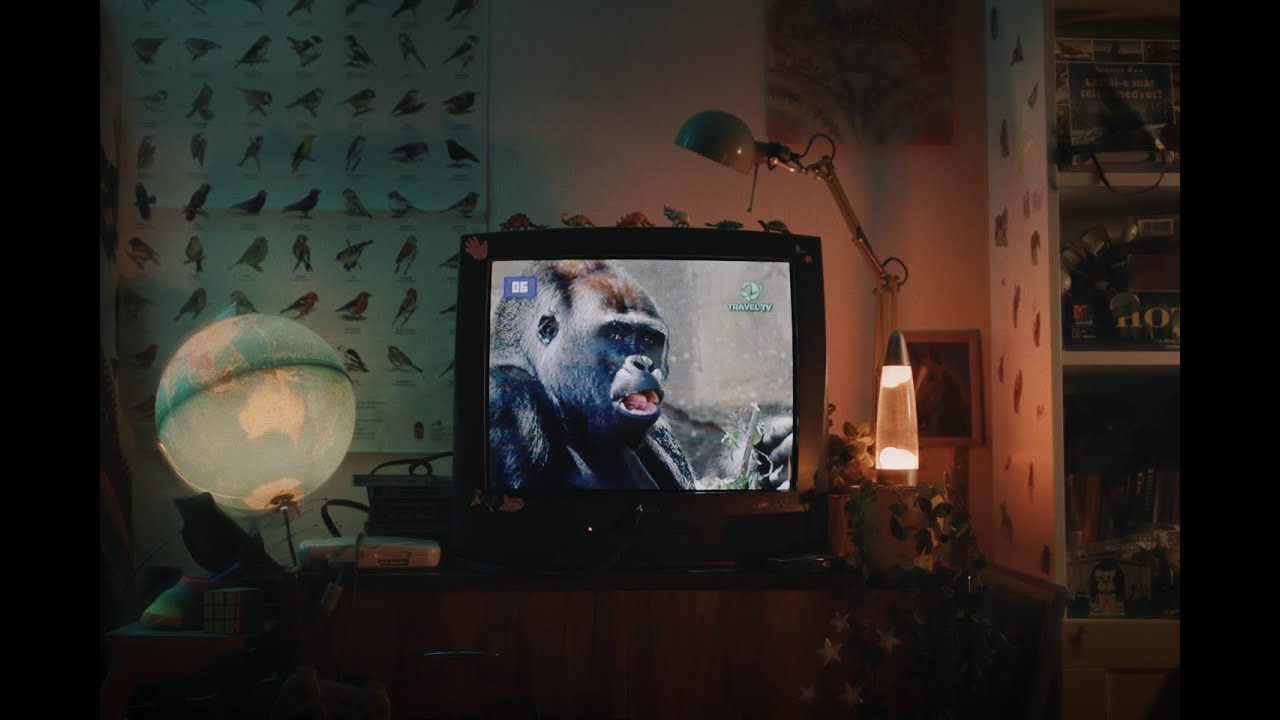 Barkóczi Noémi - Szia Fényfolt (Official Video)