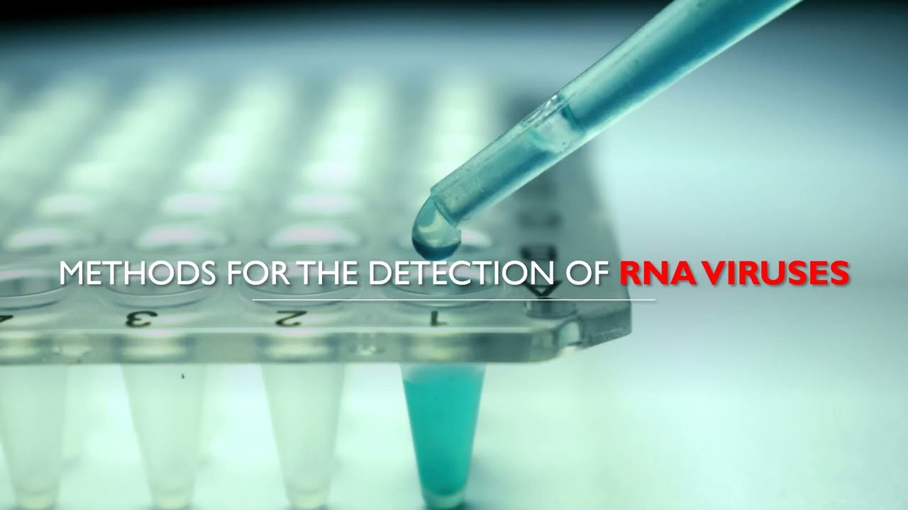 Методы обнаружения РНК-вирусов