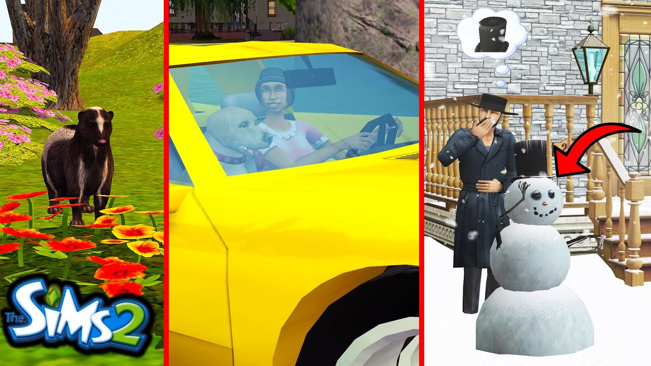 More Interesting The Sims 2 Details You Might've Missed