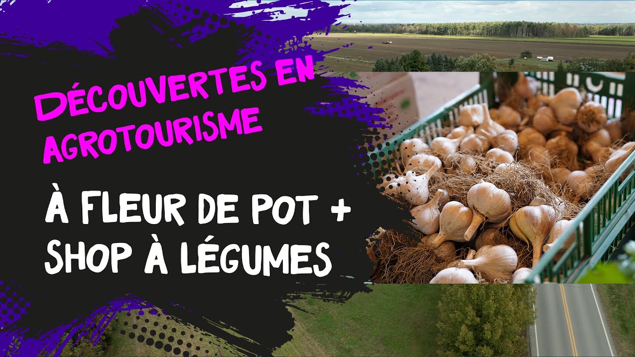 Découvertes en agrotourisme - À Fleur de Pot + Shop à Légumes