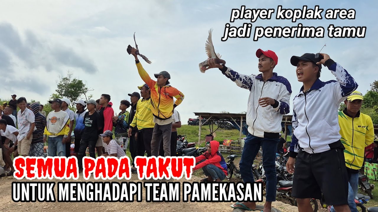 player koplak area jadi penerima tamu  di lapak ketapang timur yg lain pada takut 28 feb 2026