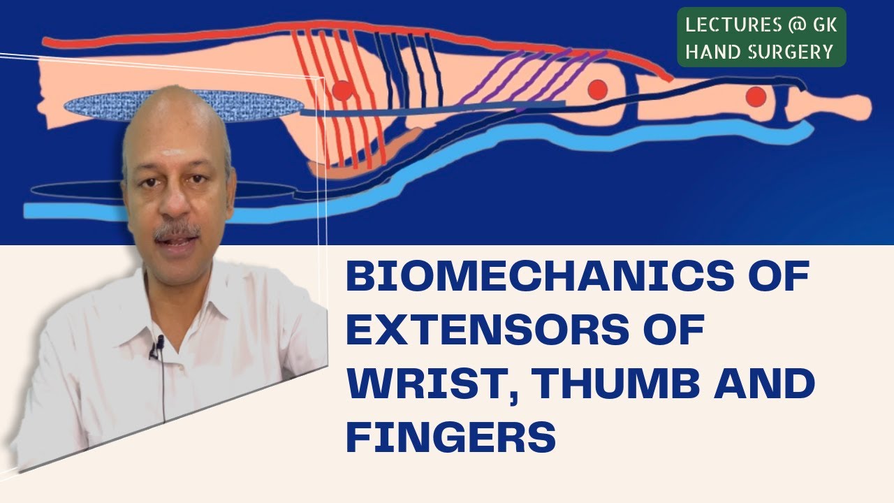Lectures @ GK Hand Surgery:Biomechanics of extensors of wrist, thumb and fingers- Elaborate & Simple