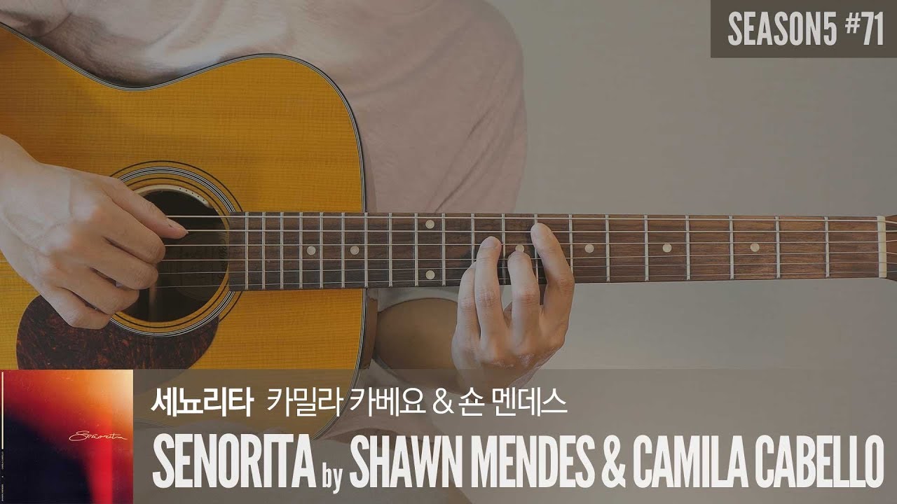 Señorita 세뇨리따 - Shawn Mendes, Camila Cabello 「Guitar Cover」 기타 커버, 코드, 타브 악보