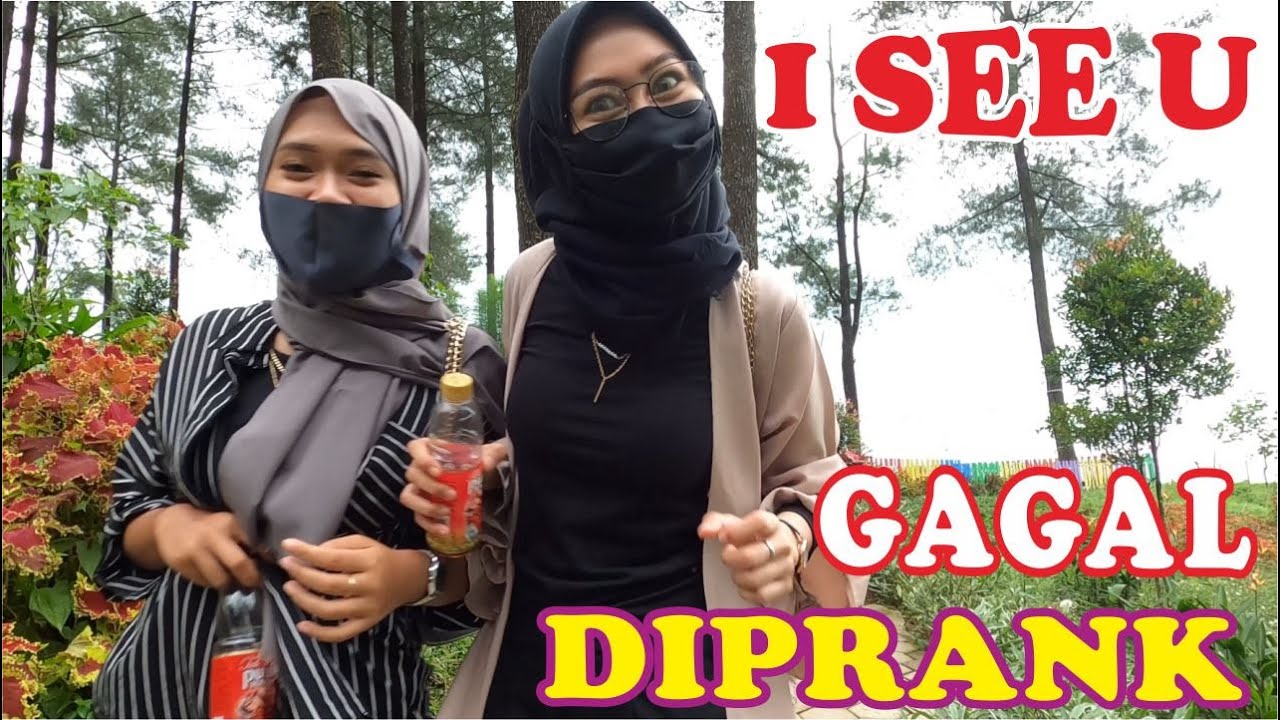 BUSHMAN KEMBALI KE HUTAN | PRANK MANUSIA POHON