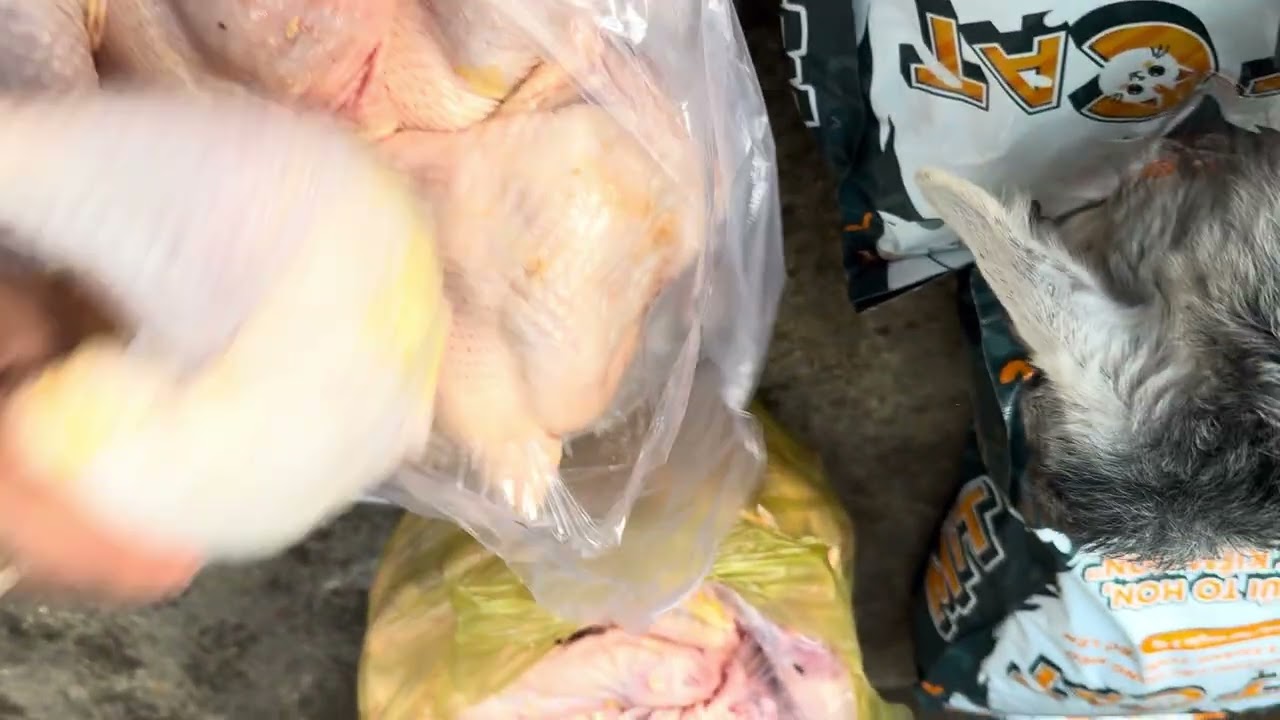 Ngày nào có lúa là ngày đó qui hoàng ngày nào hết lúa ngày đó điêu tàn hi