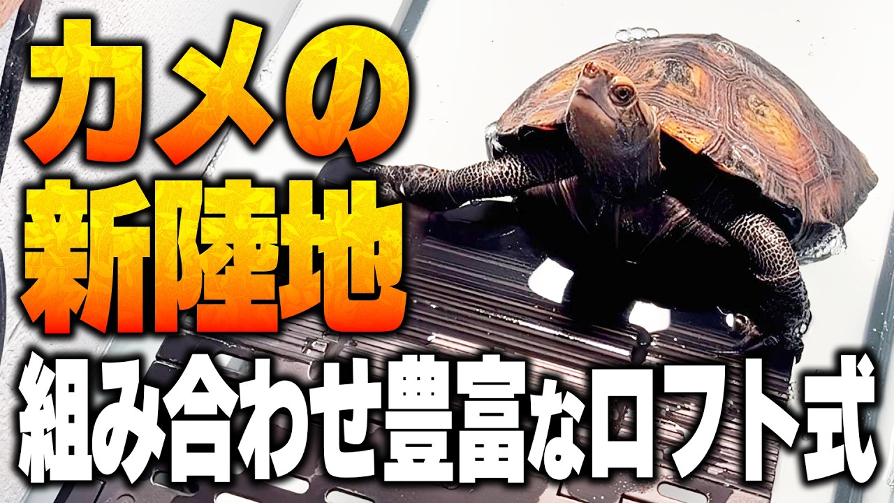 【GEX】カメの島ロフトタイプ！大きい亀でも使える？フィルターと連結できる【亀飼育】
