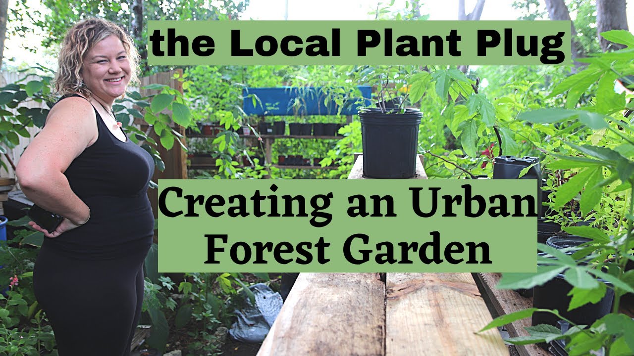Turning a Grass Lawn into a Florida Food Forest | Sara Ganster