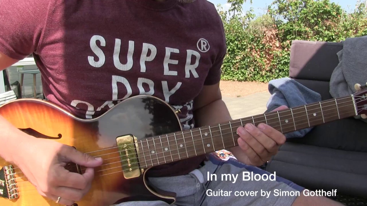 Shawn Mendes / In My Blood - Guitar Cover by Simon Gotthelf