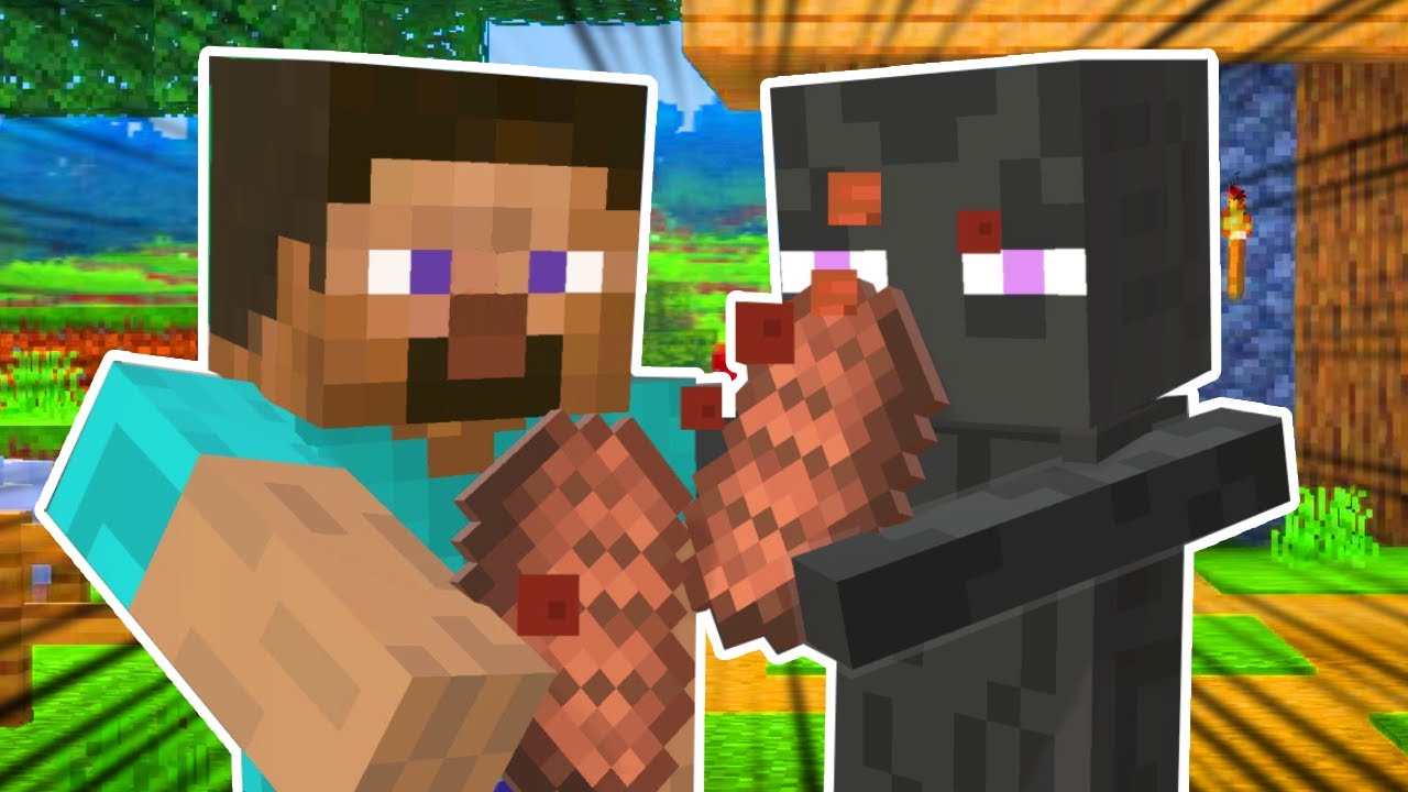 MINECRAFT STEVE IS HERE