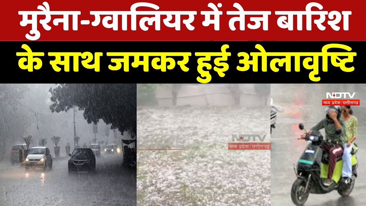 Muraina और Gwalior में तेज बारिश के साथ जमकर हुई ओलावृष्टि | MP Weather Alert | Breaking News