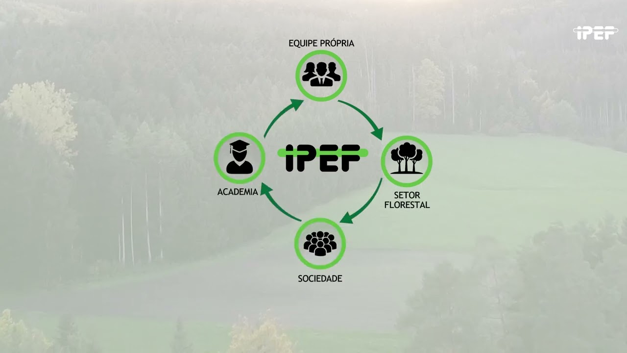 IPEF - V&iacute;deo Institucional