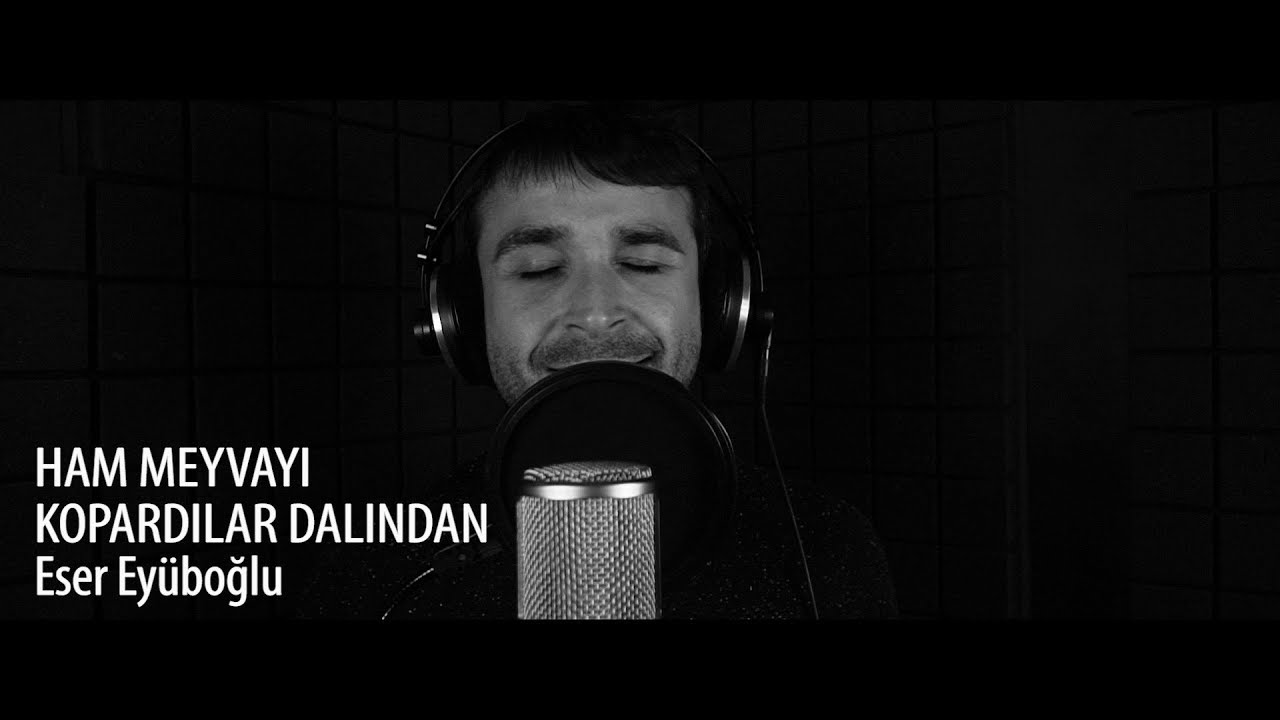 HAM MEYVAYI KOPARDILAR DALINDAN - Eser Eyüboğlu