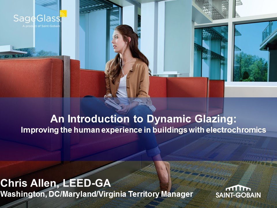 An Introduction to Dynamic Glass