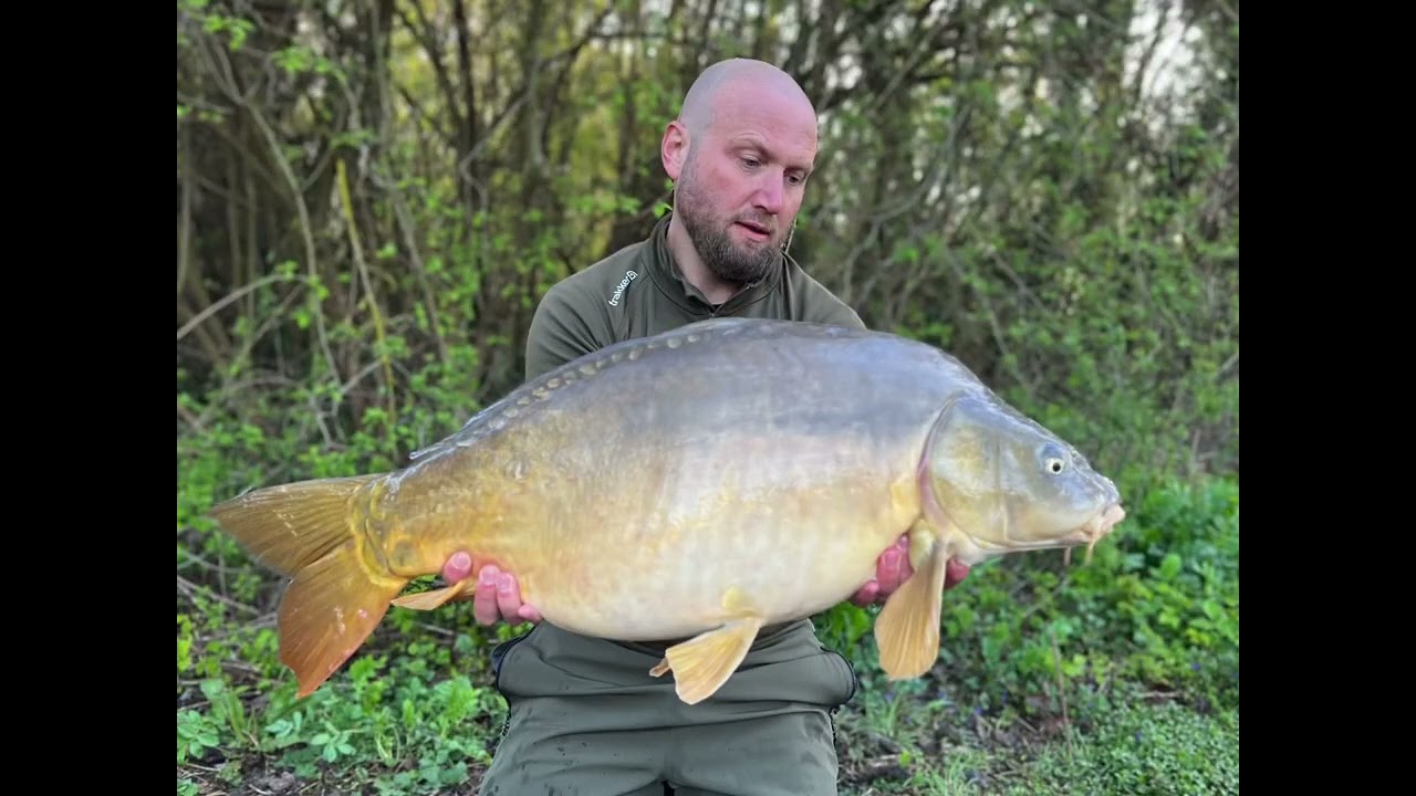 France Carp Fishing at Les Quis #fishing #carpfishing #youtube #france #bigcarp #fishingtrip #video