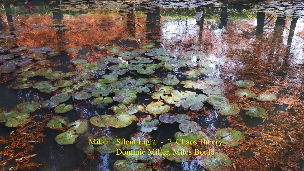 Miller : Silent Light - 7. Chaos Theory