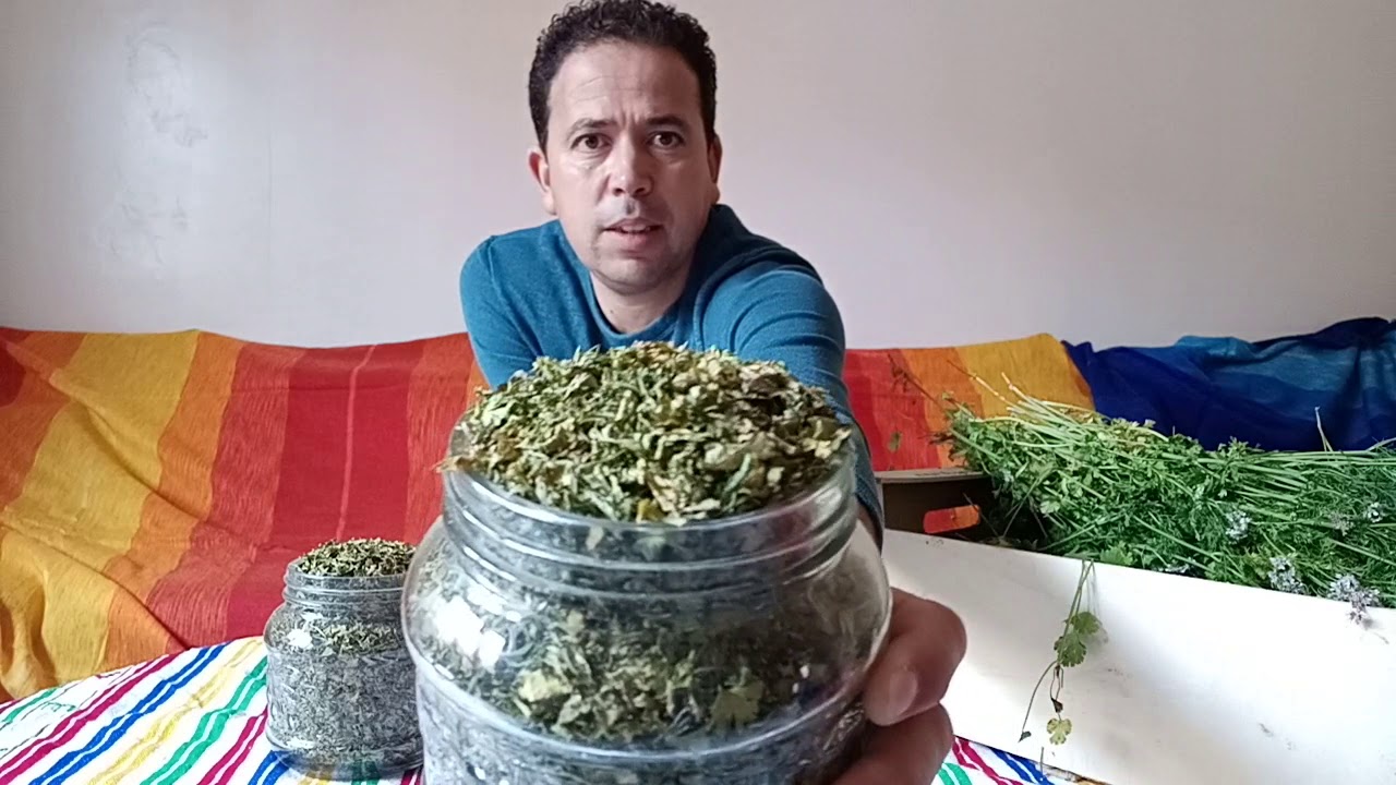 أكاديمية فن الحياة مع محمد أحليمي تجفيف القزبر