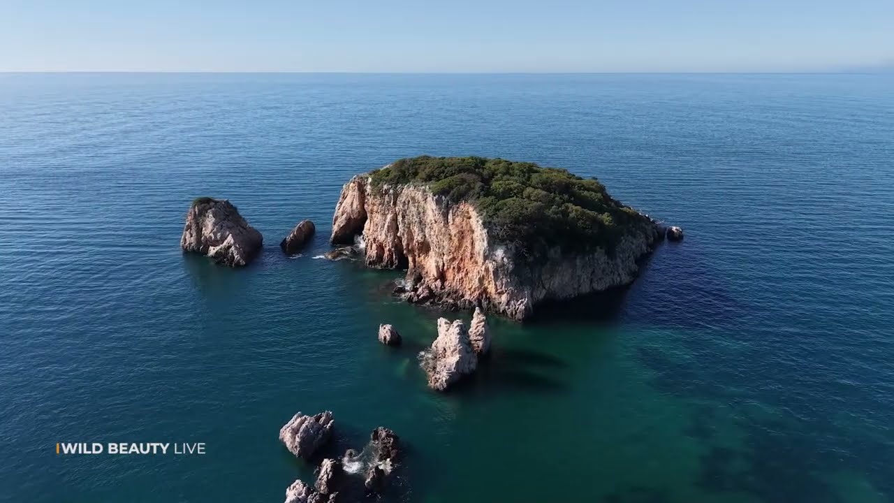 DIVLJA LJEPOTA - WILD BEAUTY - ZAŠTIĆENA MORSKA PODRUČJA