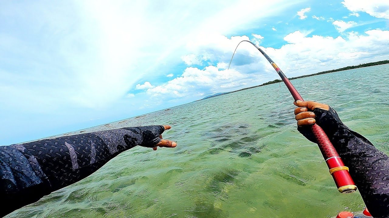 TEGEK MANIA MANTAP !!! SENSASI MANCING NGOYOR MEMANG PATEN